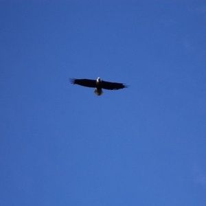 Meet your Posher, Troy